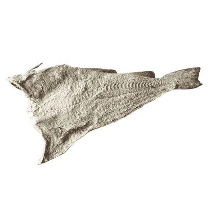 Bacalhau Salgado Seco