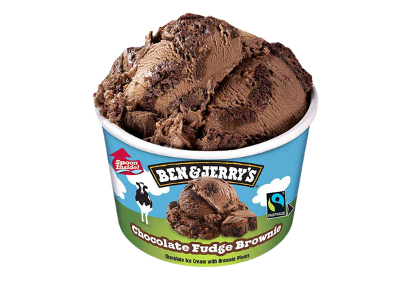 665242 GELADO CHOCO FUDGE BROWN BEN&JERRY 100ML