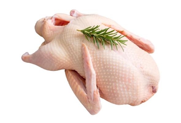 589213 PATO S MIUDOS CONGELADO GRANEL