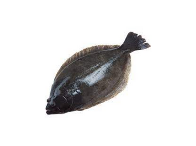 SOLHA 0.4 0.6KG CX 3KG CONG. EUROCHEFE