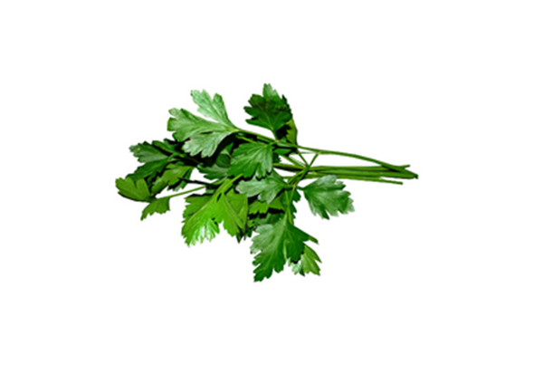 Salsa Folhas Desidratada Pct 150 Grs