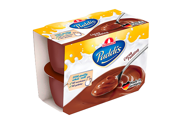 PUDIM DE CHOCOLATE PUDDIS