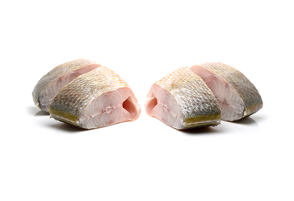 CORVINA EM POSTA MÉDIA CONGELADA