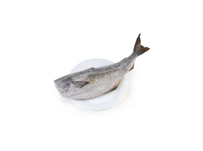 ESCAMUDO S CAB.+1KG CX + 6KG CONG.EUR