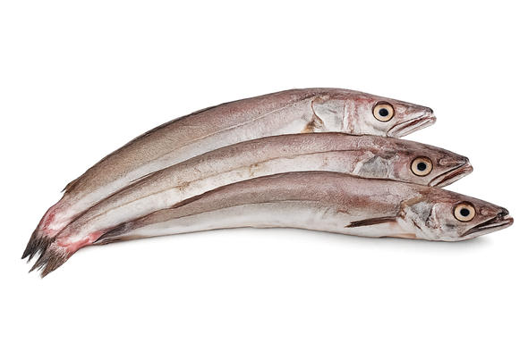 404126 PESCADA PEQ. (PESCADINHA) CX6KG CON. EUR