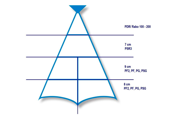 572214 BAC.DEM.CONG.POST MED.250G ULTRAFISH LC 2