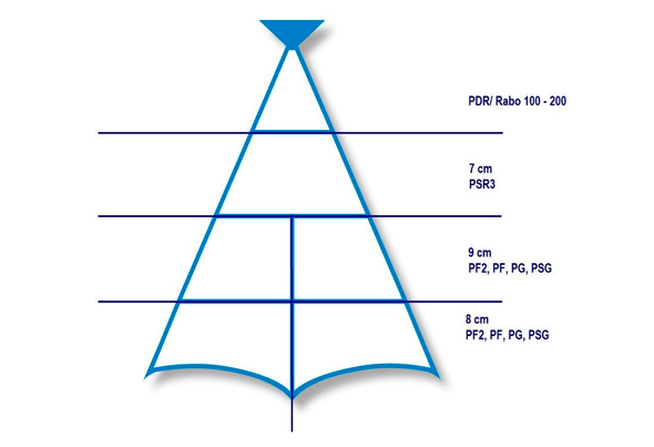 572214 BAC.DEM.CONG.POST MED.250G ULTRAFISH LC 2