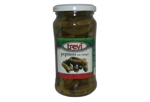 665088 PEPINO EM VINAGRE FRS TREVI 360G PL
