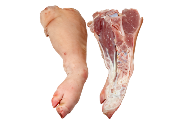 203588 CHISPE ABERTO FRESCO REFRIGERADO