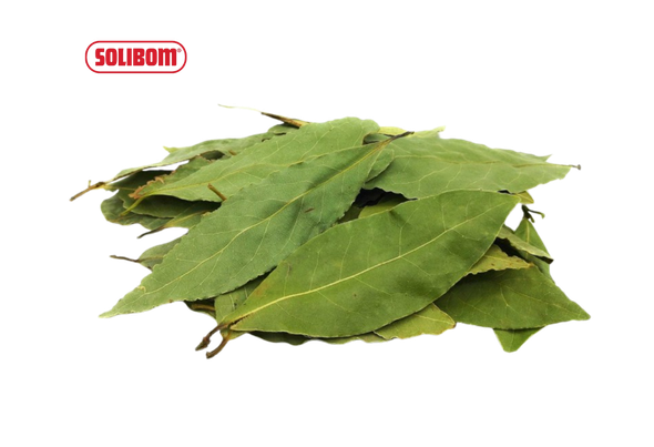 661953 LOURO FOLHA SOLIBOM 200G