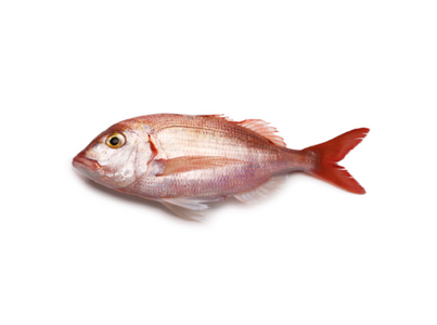 PARGO VERMELHO C C 0.3 0.5KG CX 6KG CONG