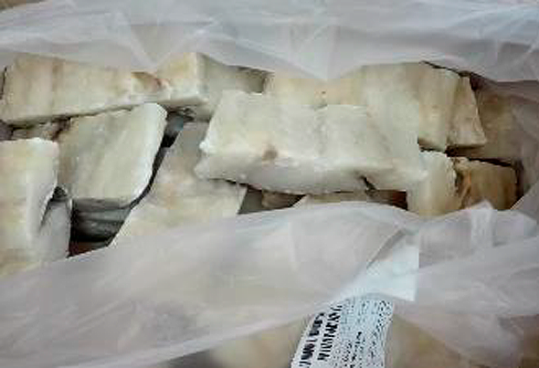 588667 BAC. DEM. CONG. GRIBAL P. EXTRA CX 10KG 3