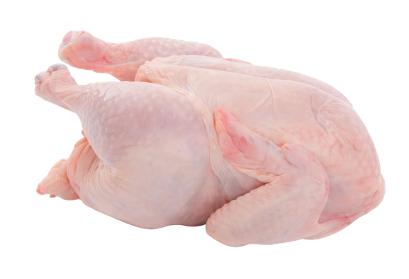 553406 GALINHA CONGELADA