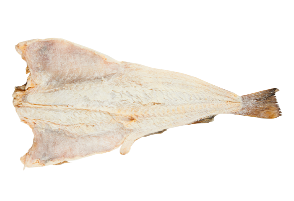 629014 BAC.CRESC + SALG.SECO NOR.CX25 KG EUROB