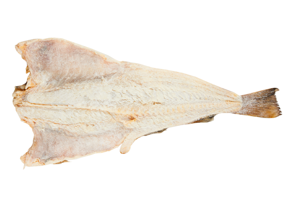 629014 BAC.CRESC + SALG.SECO NOR.CX25 KG EUROB