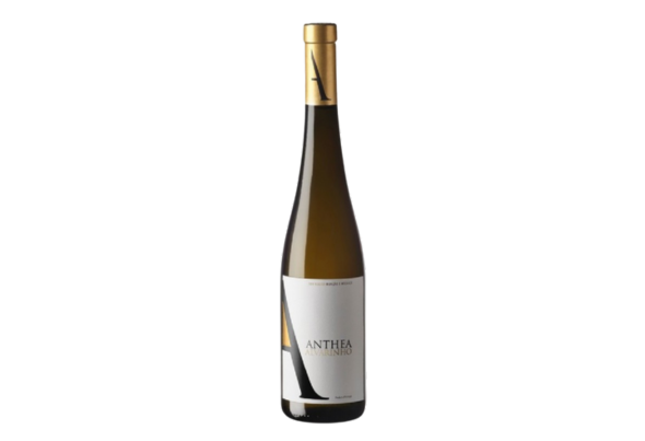 594630 VINHO VDE BCO ALVARINHO ANTHEA 0,75
