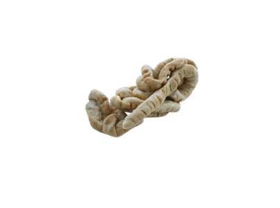 Tripa Porco Enfarinhada Frs Ref