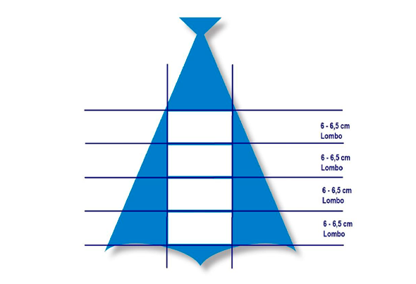 588107 BACALHAU LOMBOS 300 400G CONG.CX.5KG RIB 3
