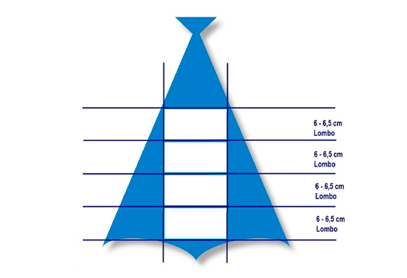 588107 BACALHAU LOMBOS 300 400G CONG.CX.5KG RIB 3