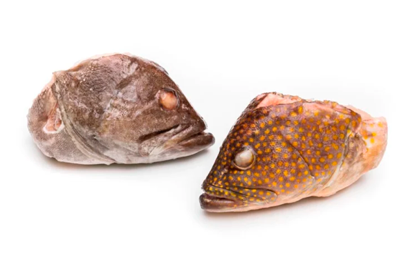 CABEÇAS DE GAROUPA CONGELADAS EUROCHEFE