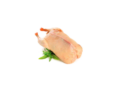 Pato C Miudos Congelado