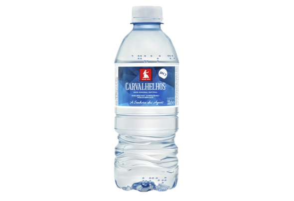 663978 AGUA CARVALHELHOS PET 33CL (24)