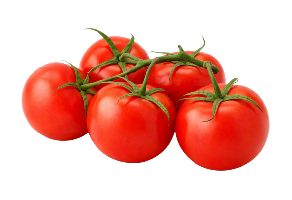 125034 TOMATE RAMA CACHO