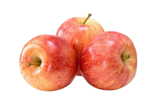 595924 MACA FUJI 55 60