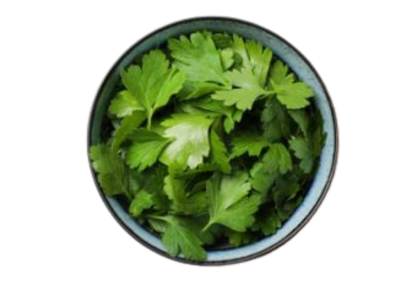 662884 COENTRO CONG NAVARRA 250G