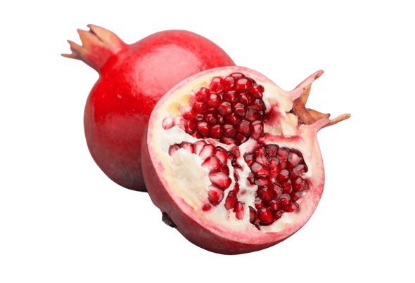 557174 ROMA CX + 5 KG