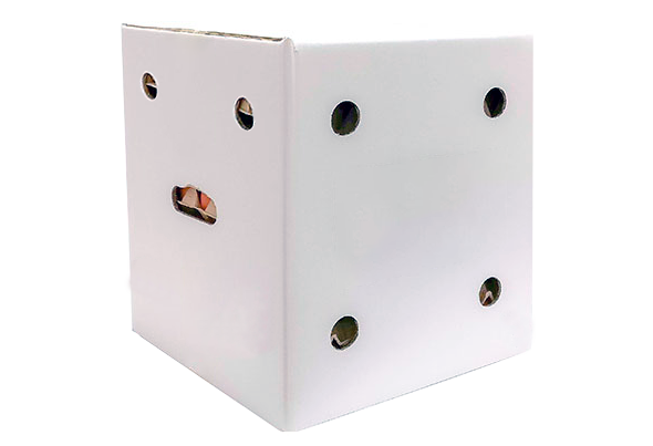 596896 OVOS TIPO L CX 15 DZ CLARA GEMA2