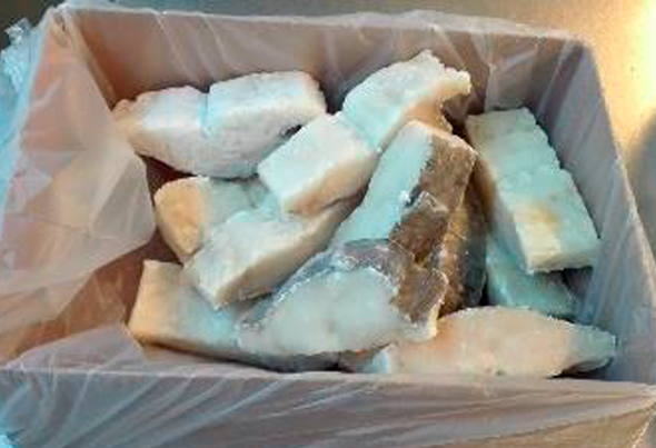 572216 BAC.DEM.CONG.LOMBO 200 300G ULTRAFISH LC 3