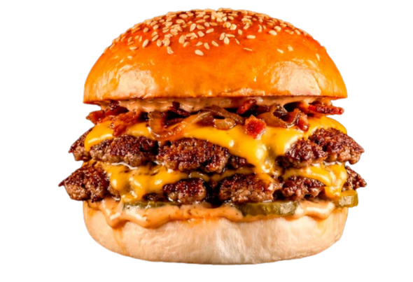 663068 BRIOX BAKER PAO HAMBURG SESAMO 95G CX48  (2)