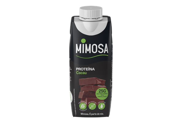 630074 LEITE S LACTOSE PROT CACAU MIMOSA 250ML